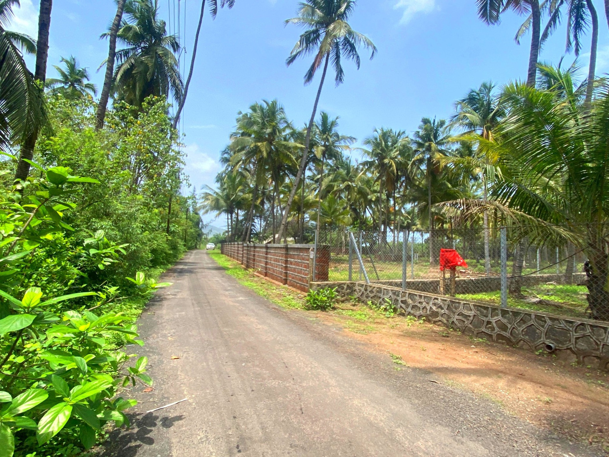 169-farmhouse-plot-1bc9de07-2c88-44fd-9d25-dcc68892544e.png