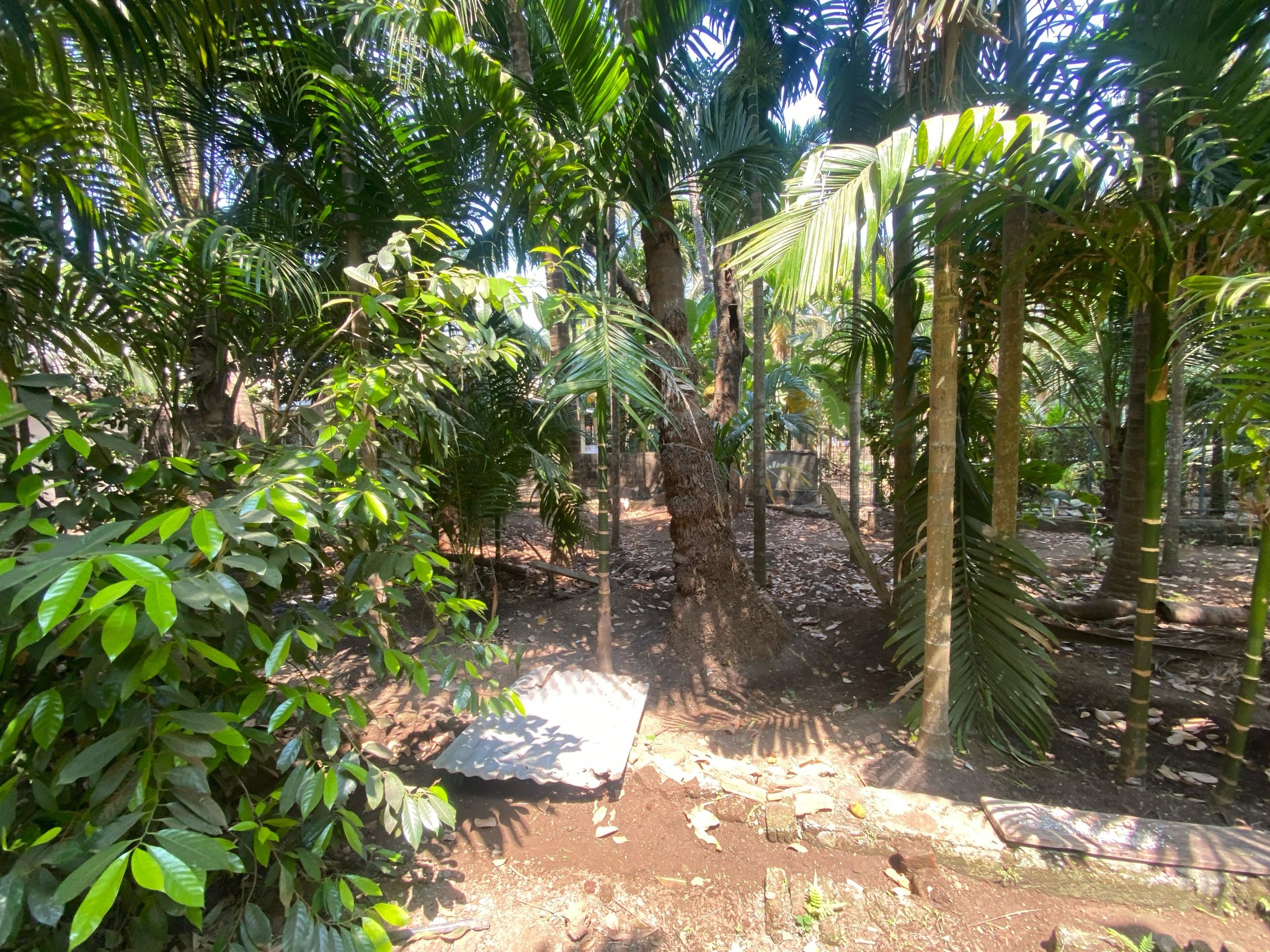 189-agriculture-plot-b7e2a661-6ccc-4ef7-affe-3fd371dc243e.jpg