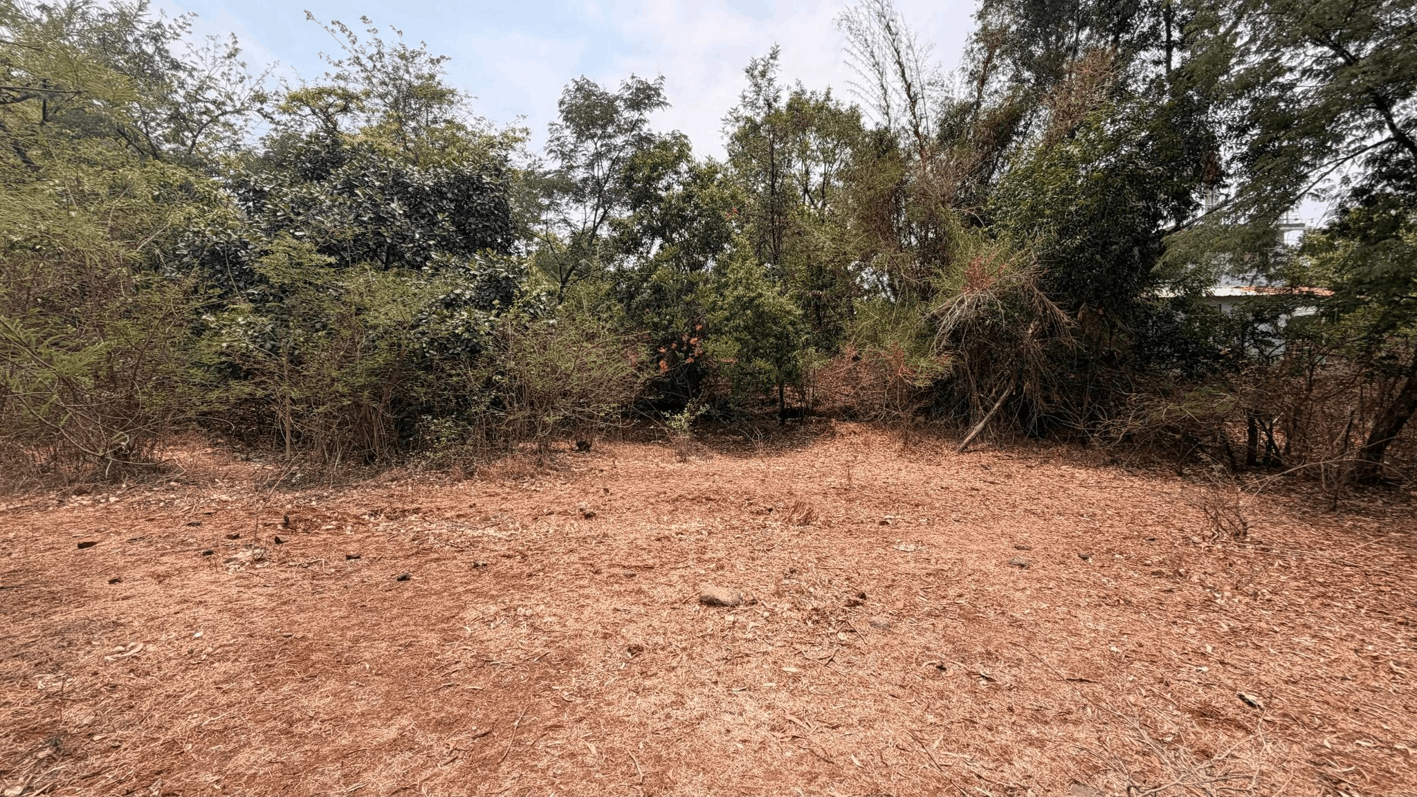 195-farmhouse-plot-cdb4254b-725e-4c8a-8f56-46950ebda094.png