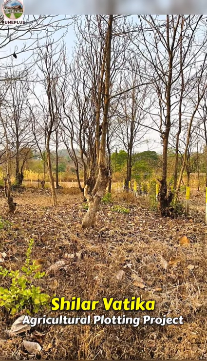 217-agriculture-plot-0084ba9a-5a33-4efb-9ff4-388e53606ccf.png