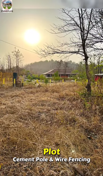 217-agriculture-plot-445e2cb7-6c0b-4c6c-a7b3-e93d1b1728af.png