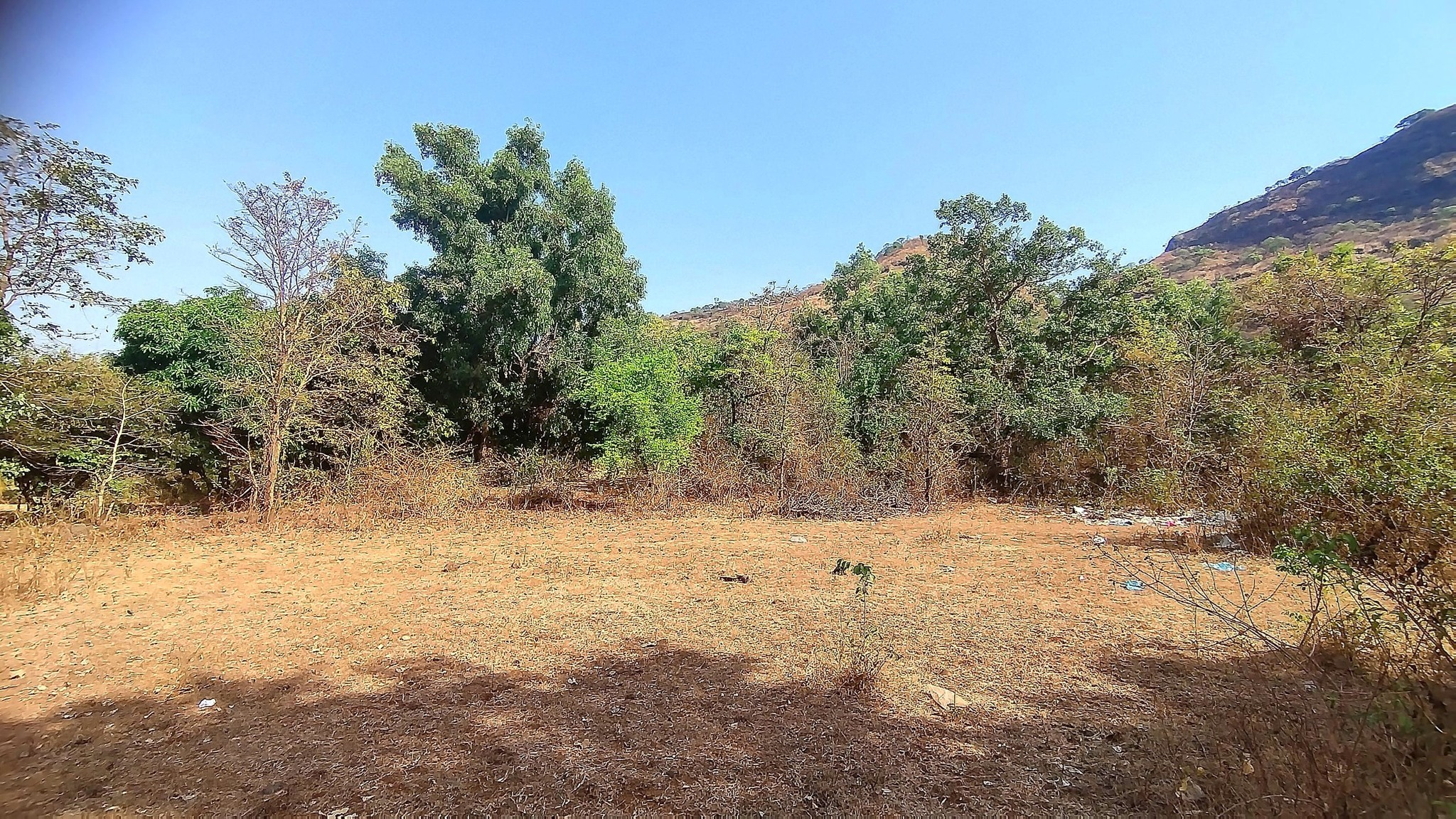 221-farmhouse-plot-4aa9ad86-8787-43f5-9e7b-73fa6d29899c.png