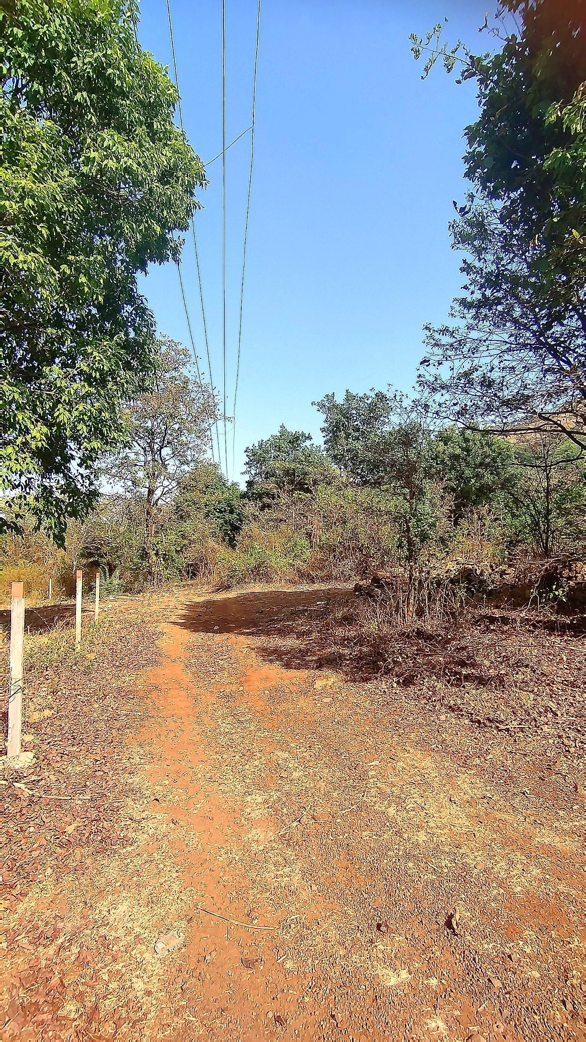 221-farmhouse-plot-717abf6c-2e5a-4fb6-9a62-2b521c52c28a.png