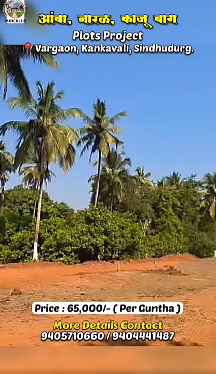 225-agriculture-plot-5f47f6f9-5ef2-4f78-beea-170a0f941f07.png