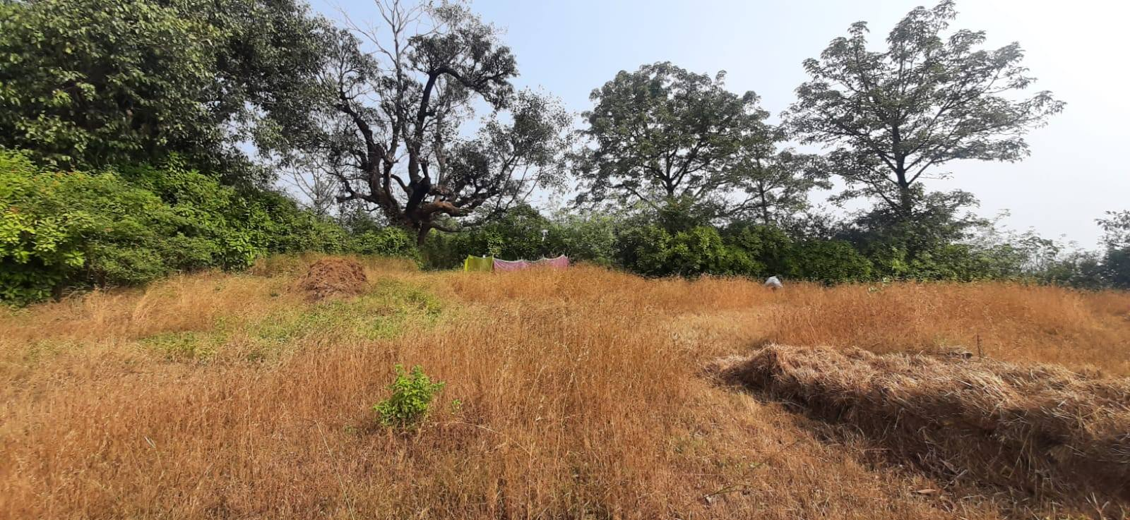 226-farmhouse-plot-4af0251c-5a42-497b-a58f-ca3d2982bd98.png