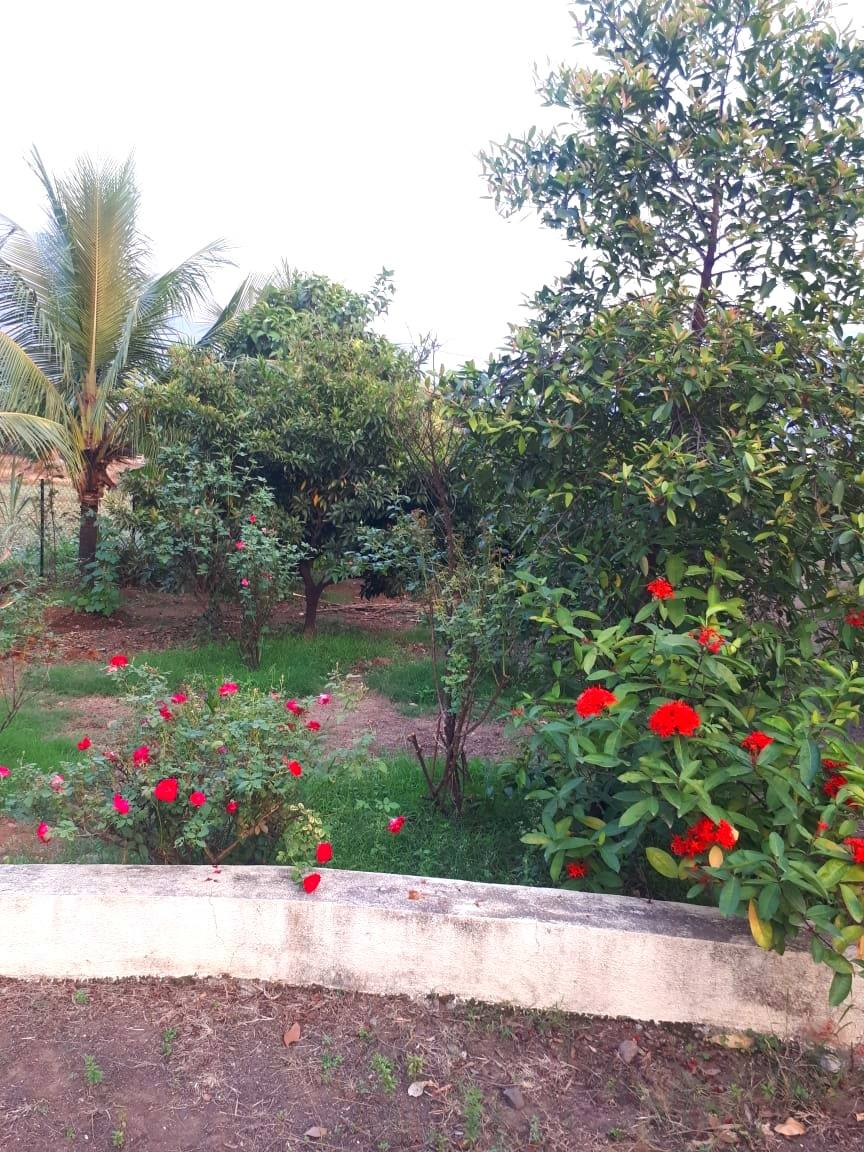 228-farmhouse-plot-76f29cb7-b585-492a-a36a-1ed7384707f4.png