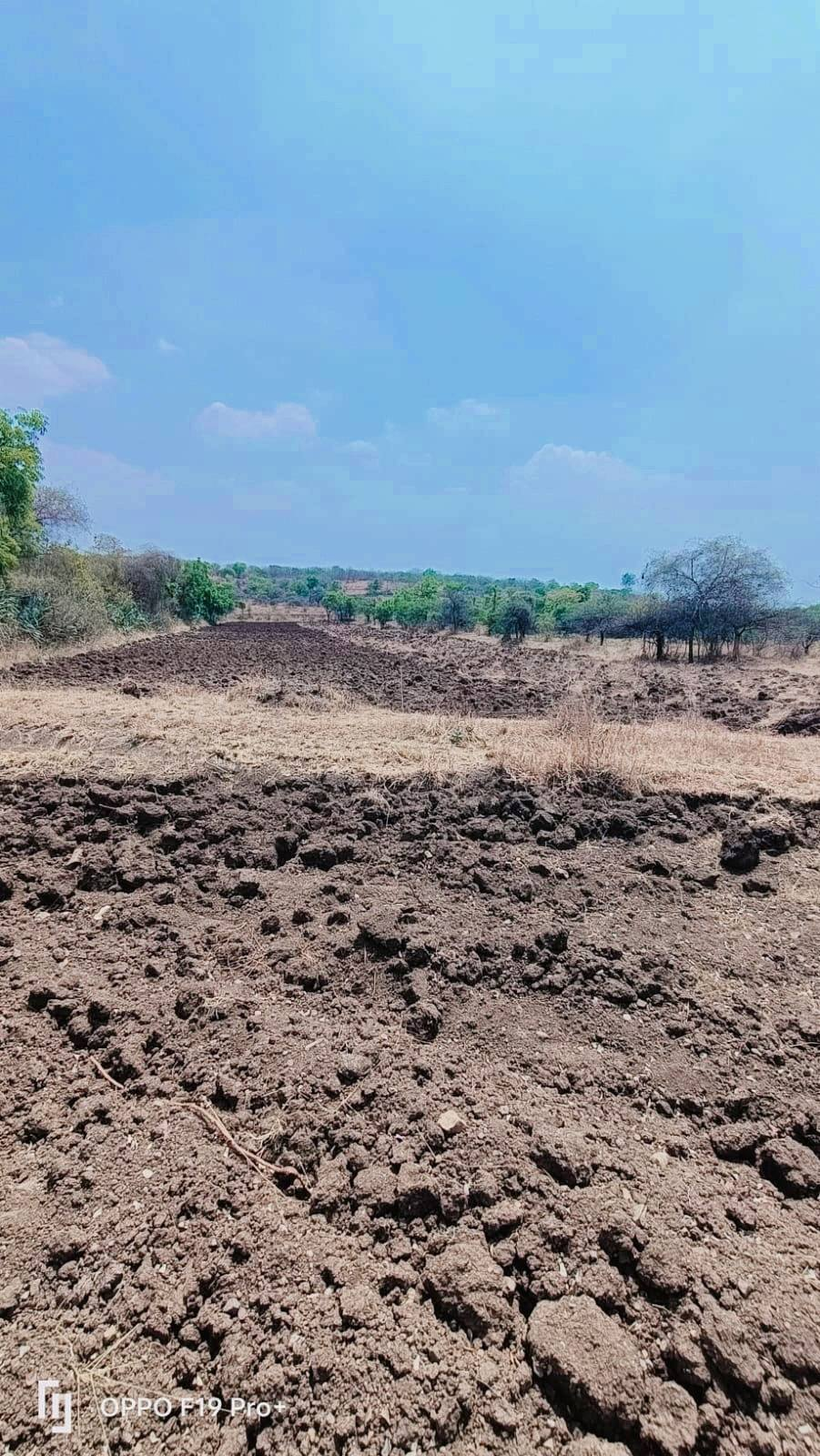 230-agriculture-plot-59881a88-29d0-4c8e-bdaa-e6b8773ce1c3.png