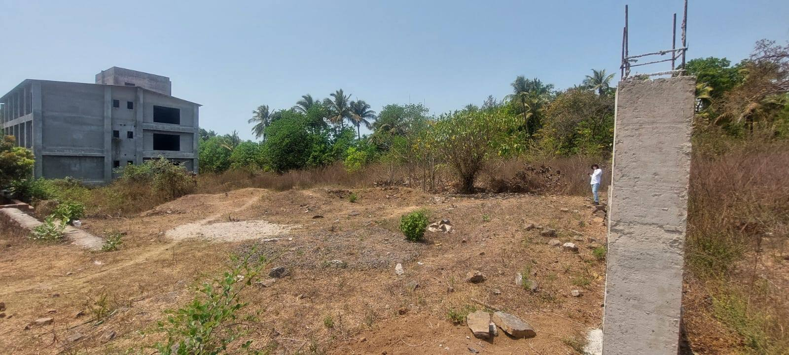 231-agriculture-plot-a6af67d7-84f8-4818-9520-f8f0a09e2471.png