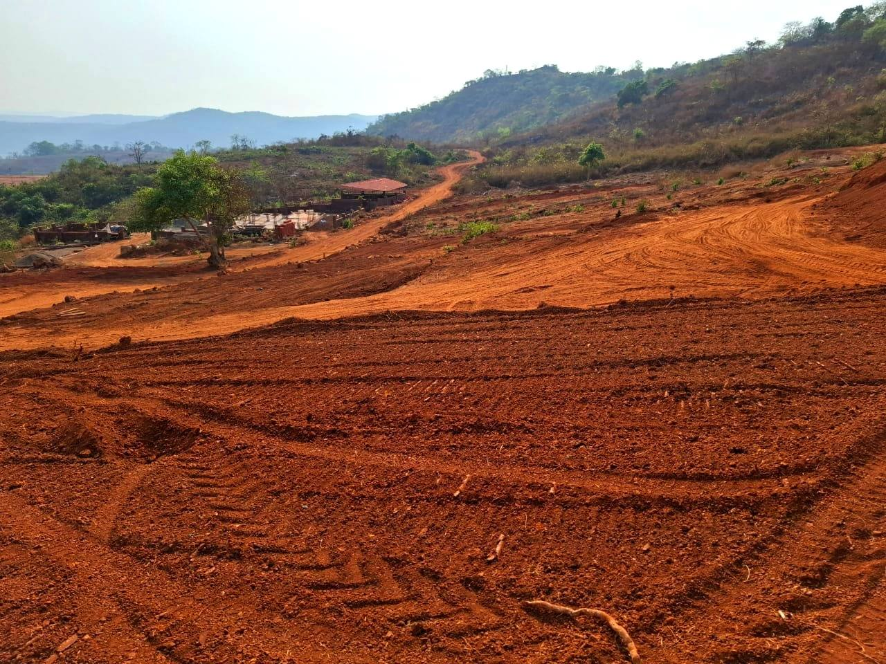 234-agriculture-plot-696083a5-71de-4b88-b949-2d0fda1c56c6.png