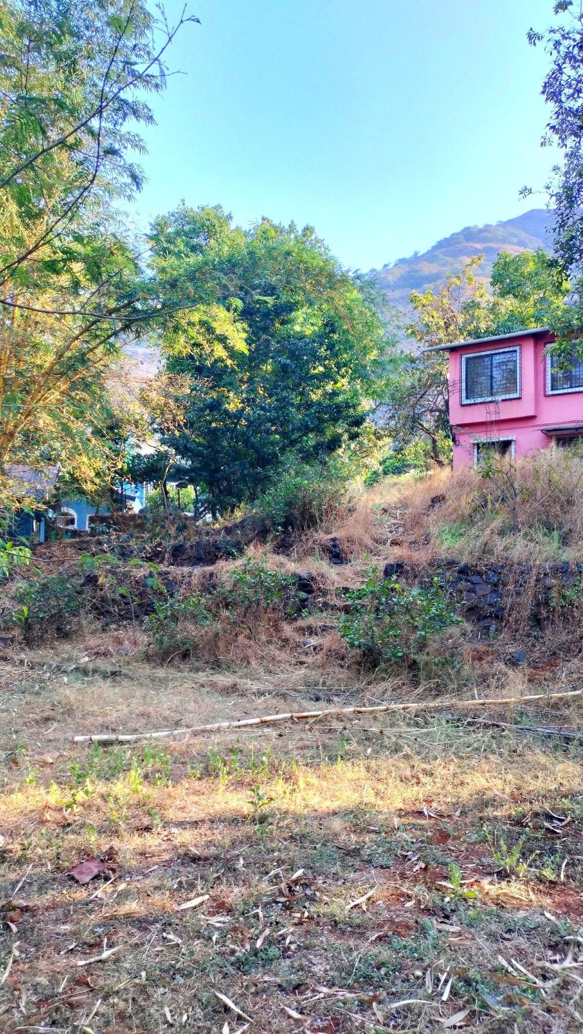 237-farmhouse-plot-3e1138f9-a74f-4b98-a68b-a76eb141769c.png
