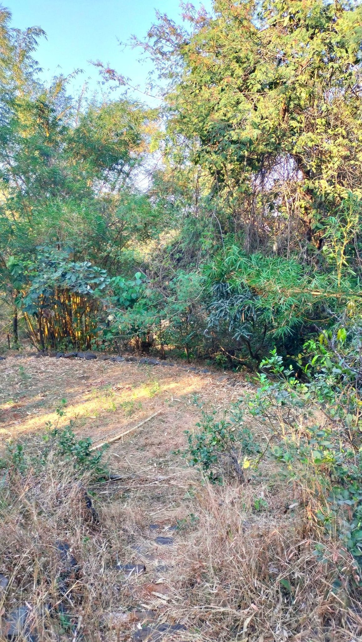 237-farmhouse-plot-a11fa245-1bdd-43ec-8043-a829618104a3.png