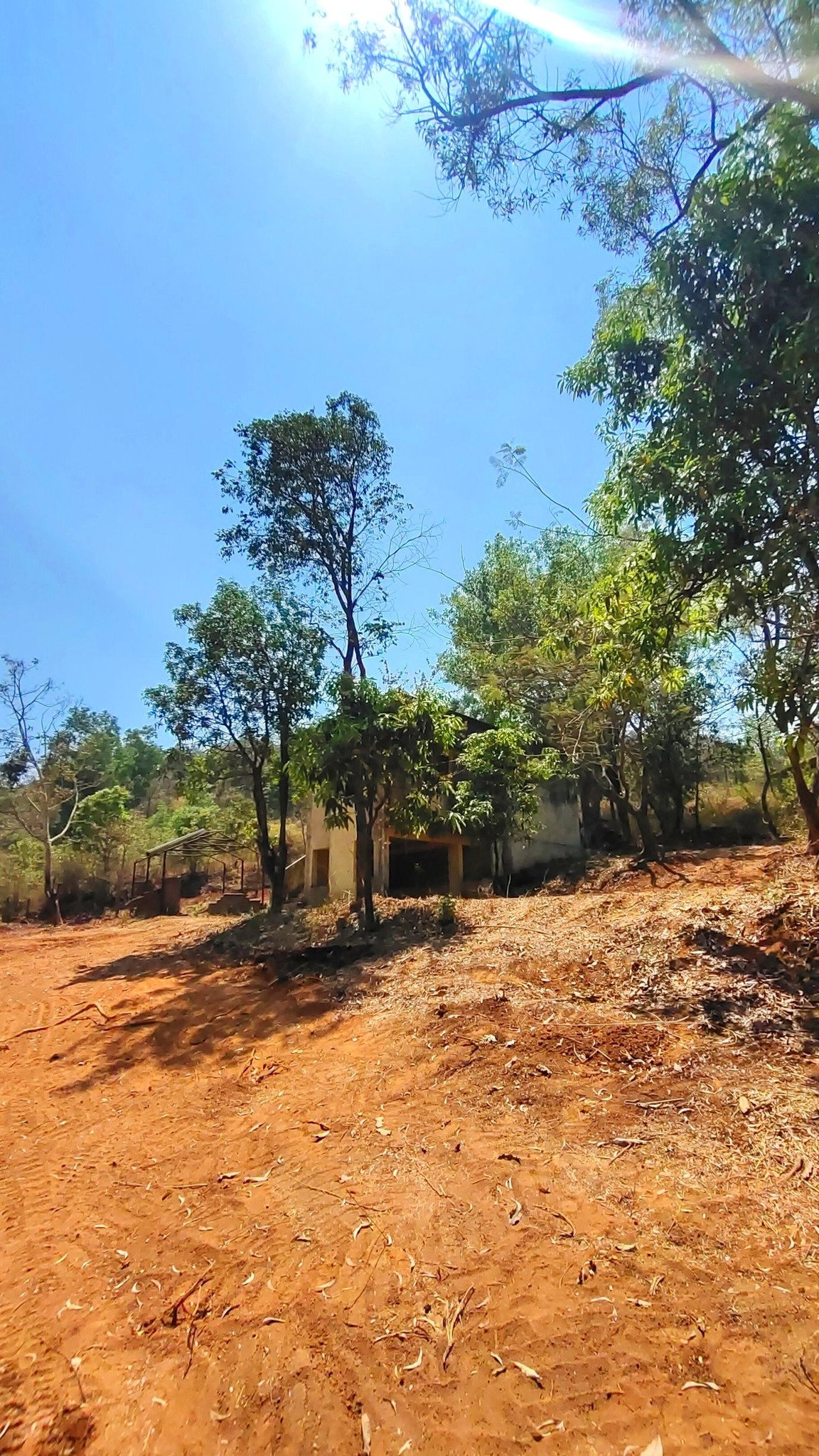 240-farmhouse-plot-2e995a35-d7d5-4edc-a9a1-266df3aafddb.png