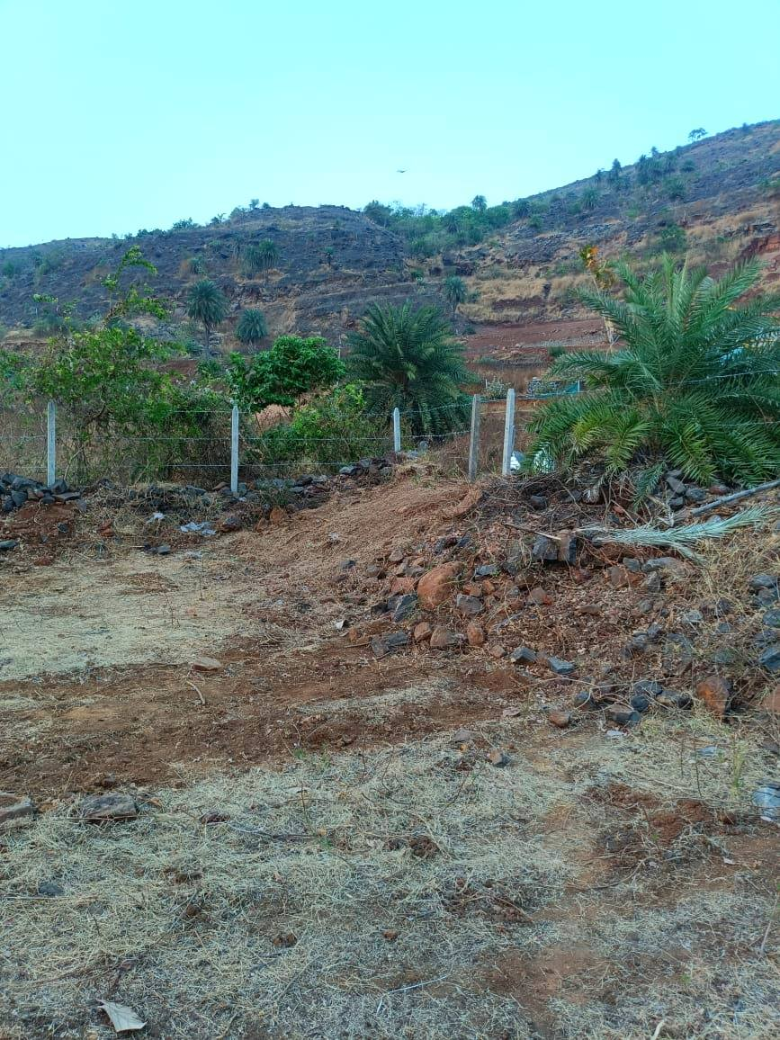 241-agriculture-plot-151a4ba7-a000-4a44-b8d9-07b1d0514de2.png