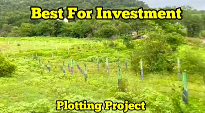 243-agriculture-plot-4df5f218-00b3-4663-9d74-6071f8c18c9c.png