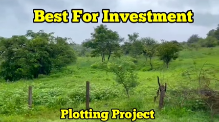243-agriculture-plot-6d4da4b4-64d9-422d-adb2-096eafcbcb91.png