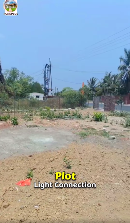244-agriculture-plot-834c53d6-3d7b-4e55-ae66-fbff17cd15bd.png