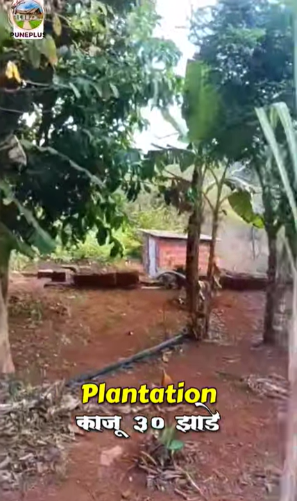 252-agriculture-plot-2aa34590-316e-45e0-91da-58d7aabbeeee.png