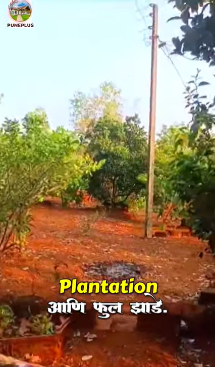 252-agriculture-plot-9e6b776c-73be-4529-8995-e2c4b1f513c5.png