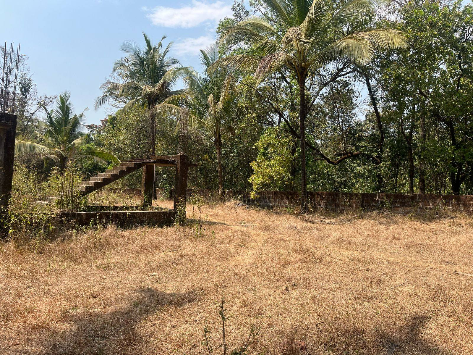 255-agriculture-plot-b8dbd024-4cfb-4e6d-bf9d-499510fcddd3.png