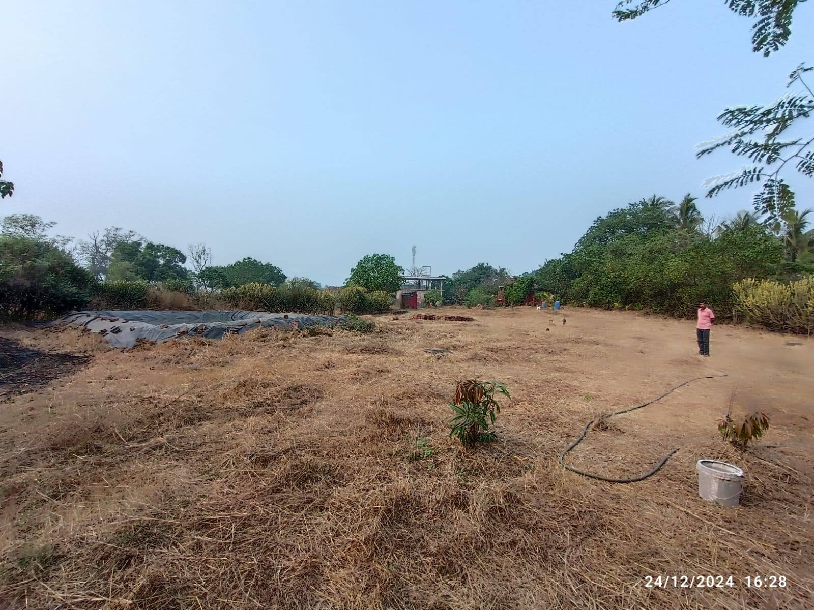 258-agriculture-plot-b70f838f-6975-4f89-9b0a-f01ed78a8e0e.png