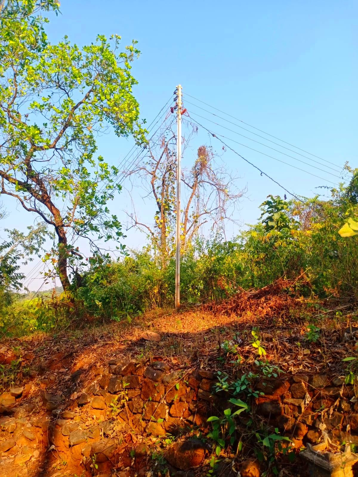 259-agriculture-plot-3271f506-85d5-4f4d-b4e7-5707e8a51508.png