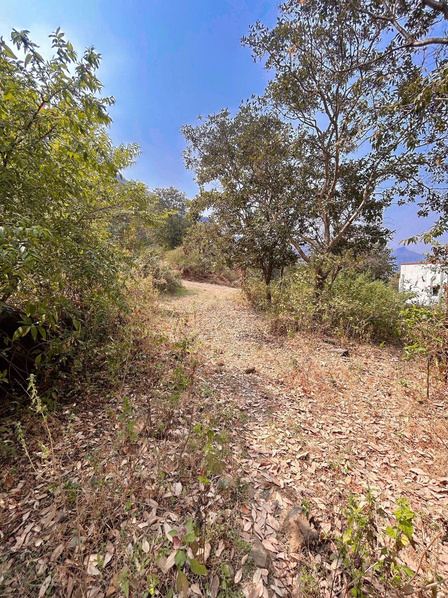265-farmhouse-plot-bd4aefd2-b46f-4510-be78-856dc6dd6fb9.png