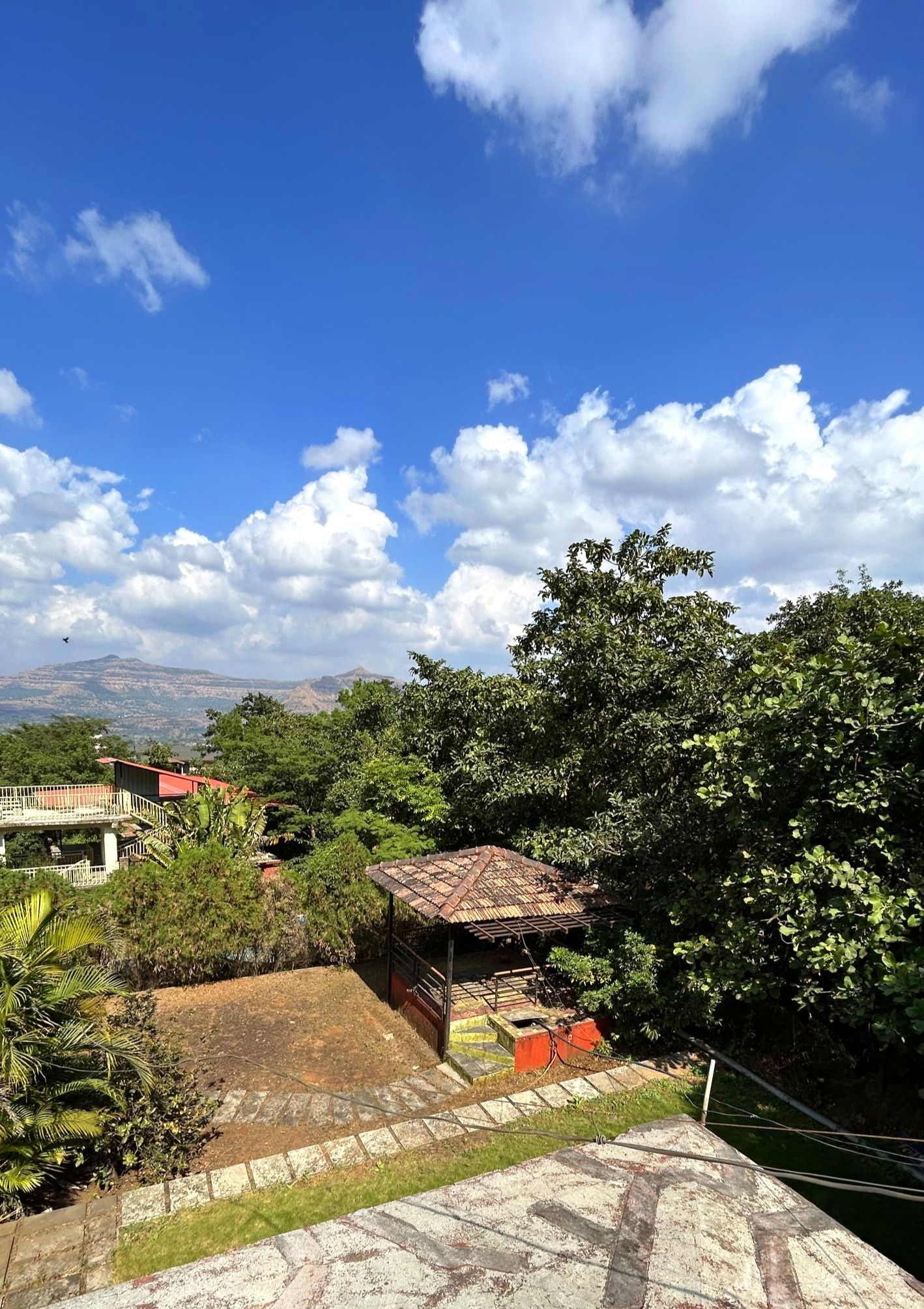 267-bungalow-e1bb7d17-4237-4dc6-aa09-453e01d7797a.png