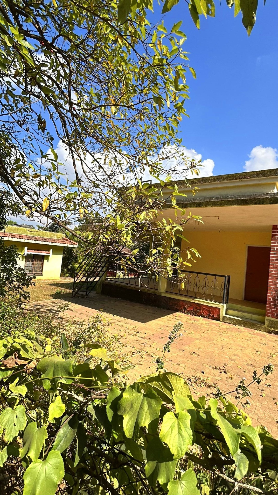 267-bungalow-f3316097-5893-4035-8c1b-09a5acd62f57.png