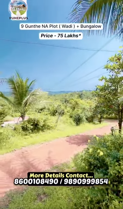 278-bungalow-bb65d47d-f5f1-4a3c-b654-b6b57c7623a3.png