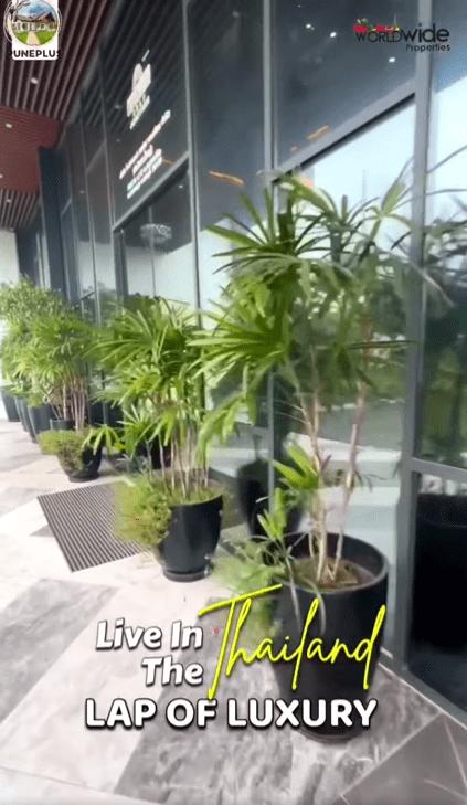 288-bungalow-54b3e749-ba5a-40a8-b672-433e630d915a.png