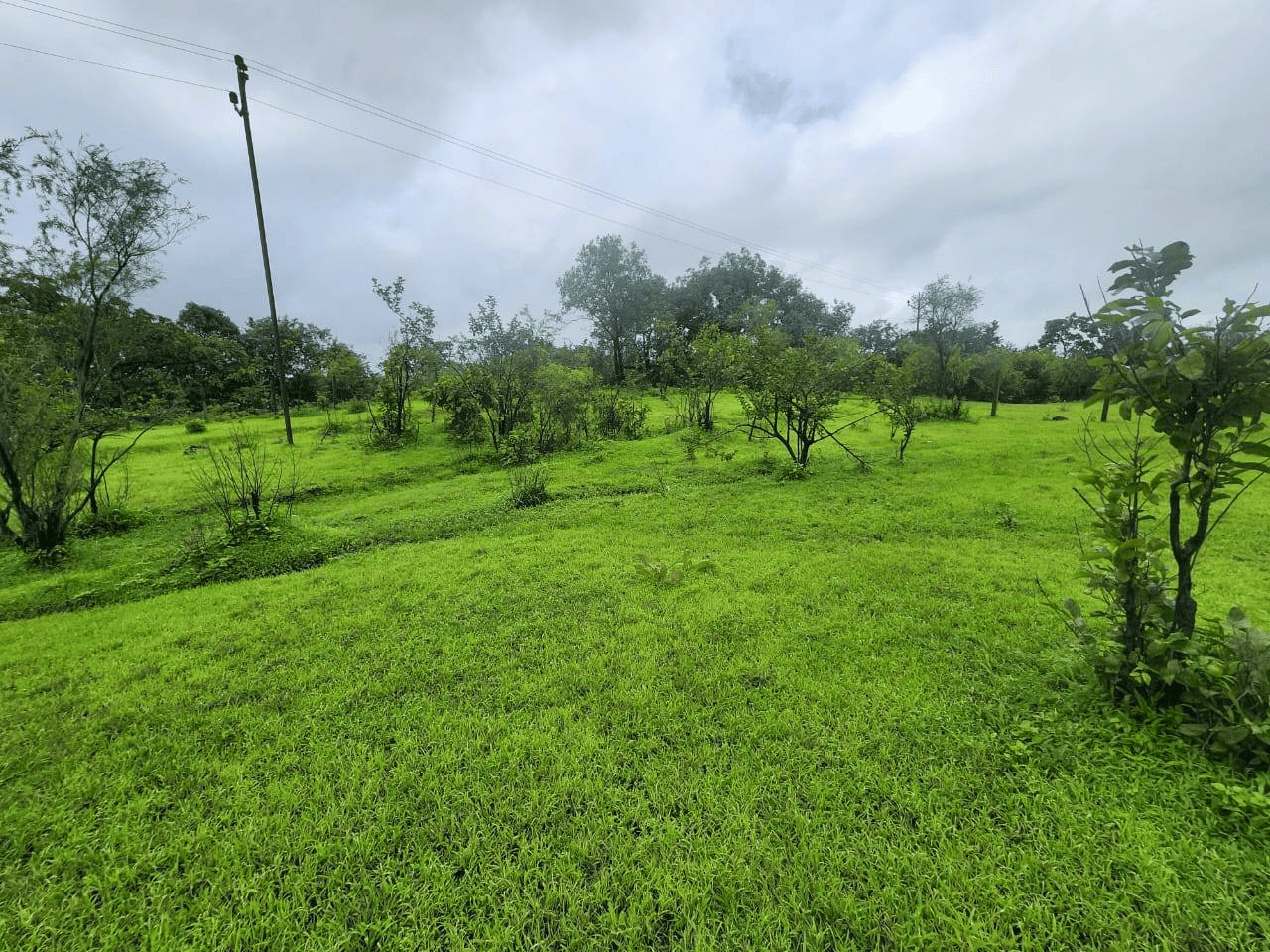 427-farmhouse-plot-3165cbdd-79d4-40cb-8981-730bd587aca3.png
