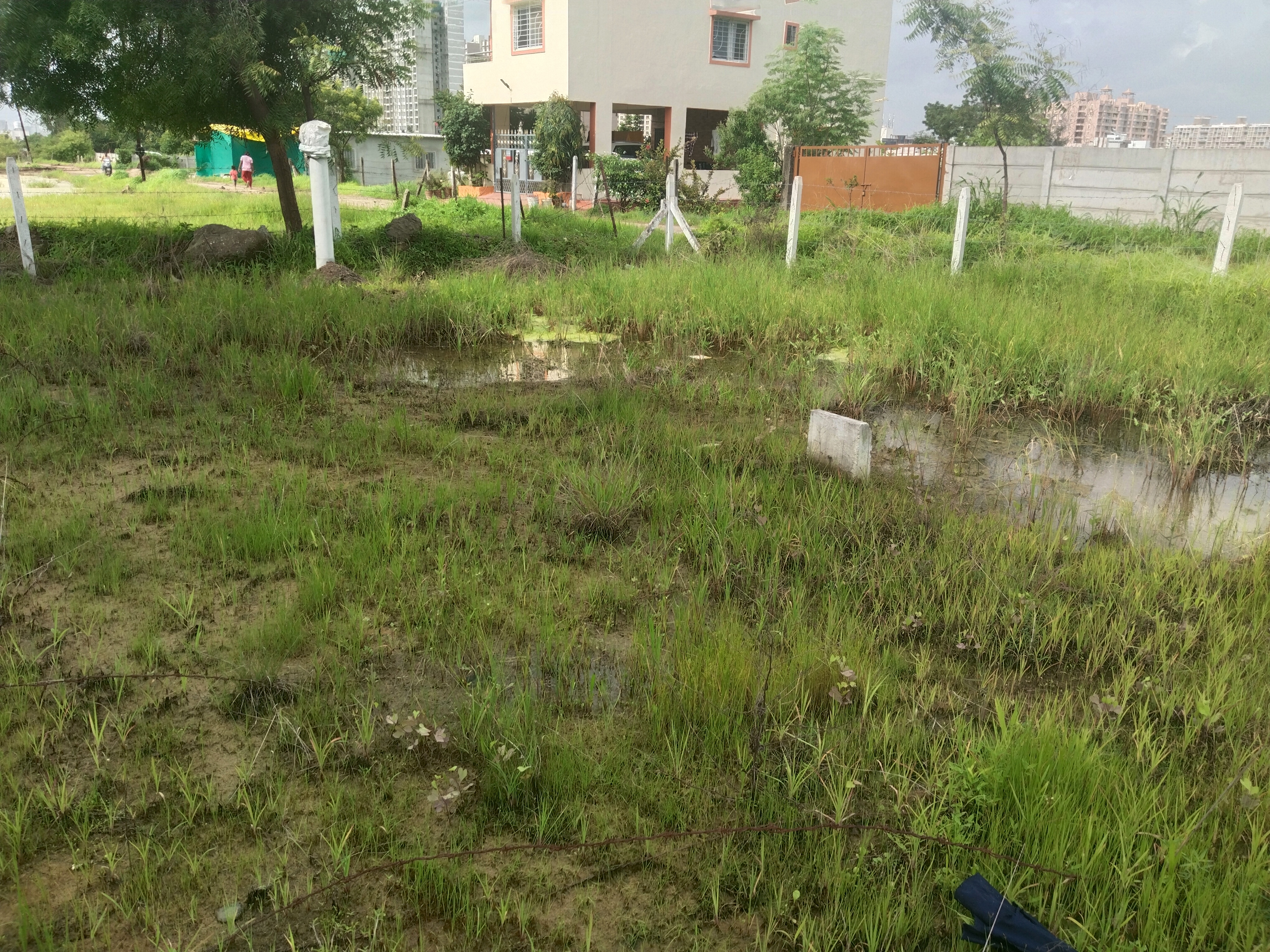 Srishti Society Punawale Gaikwad Nagar NA Plot for Sale