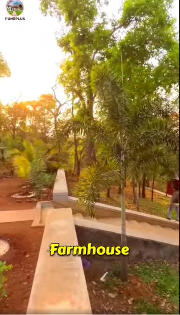 46-bungalow-0dc4876c-6ec2-42e3-8e95-a63bf0987ed8.png
