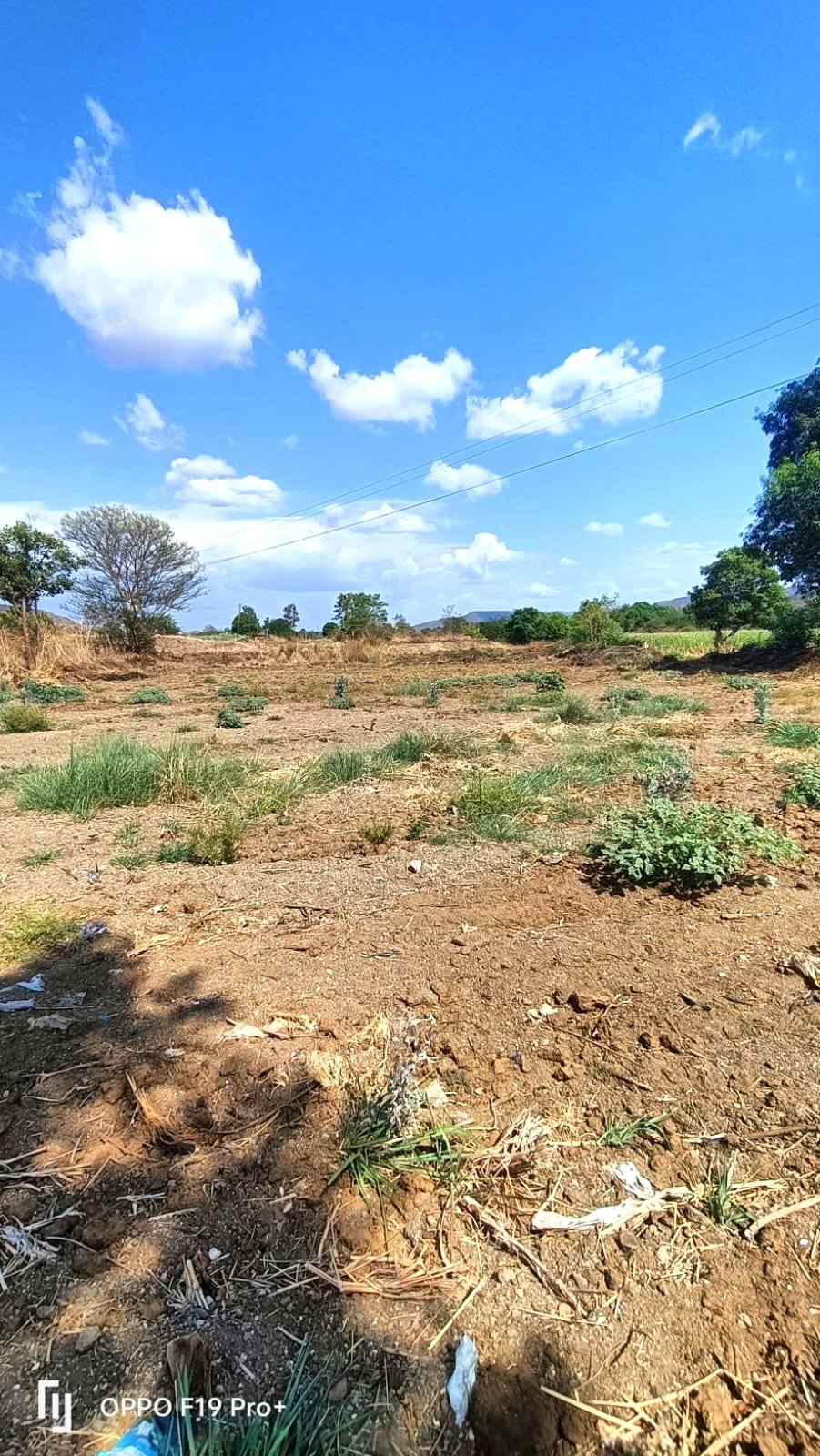 47-agriculture-plot-105bf841-90b0-4b50-93ee-25ee2578584a.jpg