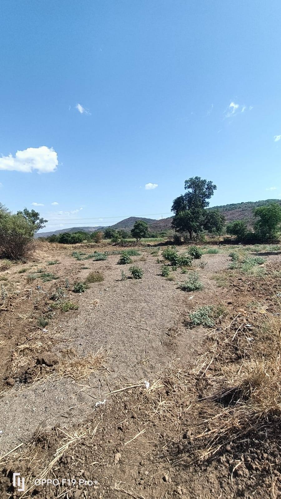 47-agriculture-plot-63c27f7a-4941-408c-b09a-8e0eed562a3b.jpg
