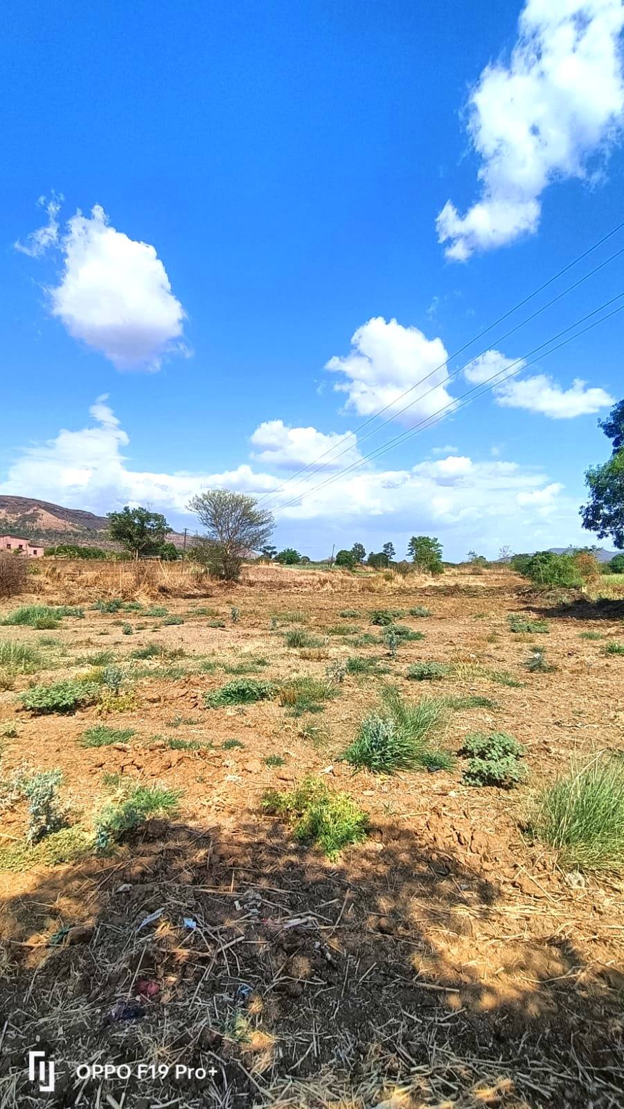 47-agriculture-plot-dab8b5bb-600a-4b07-bc0f-f009870cac9c.jpg