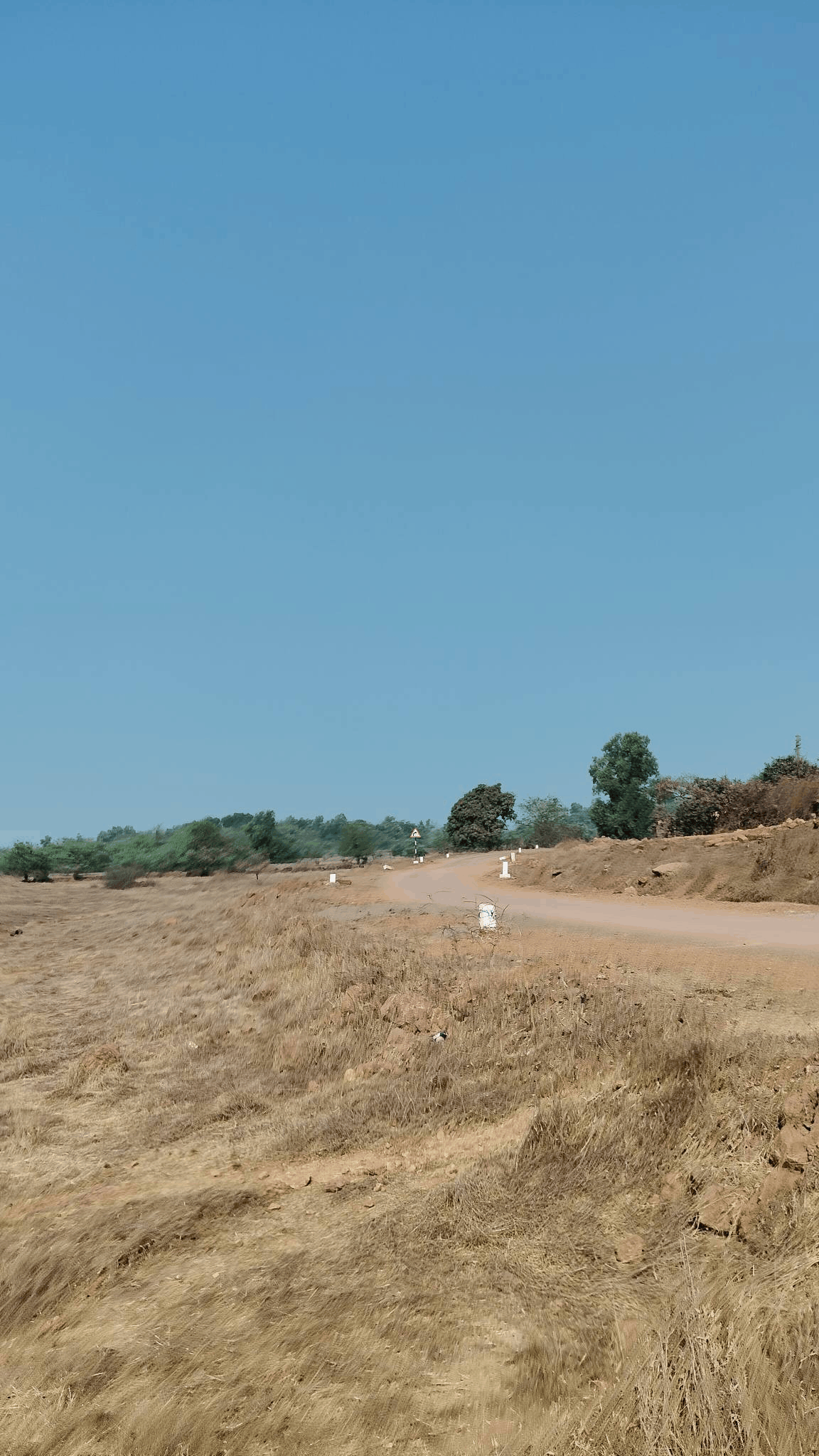 515-agriculture-plot-262381be-7f4f-470c-9f8b-8e4fb67e4530.png