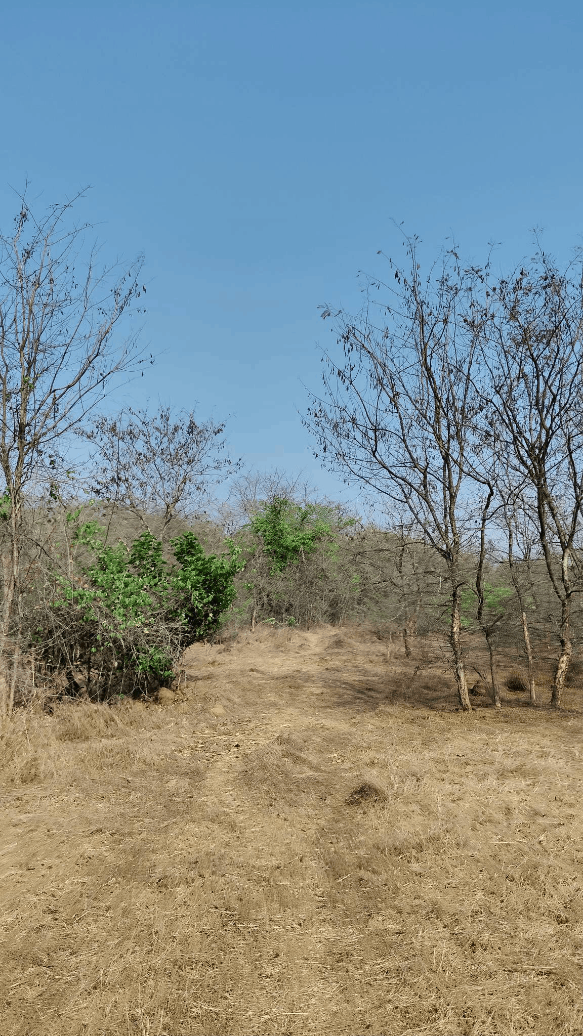 515-agriculture-plot-7424407e-31e4-4250-a73b-83ab53b17eb0.png