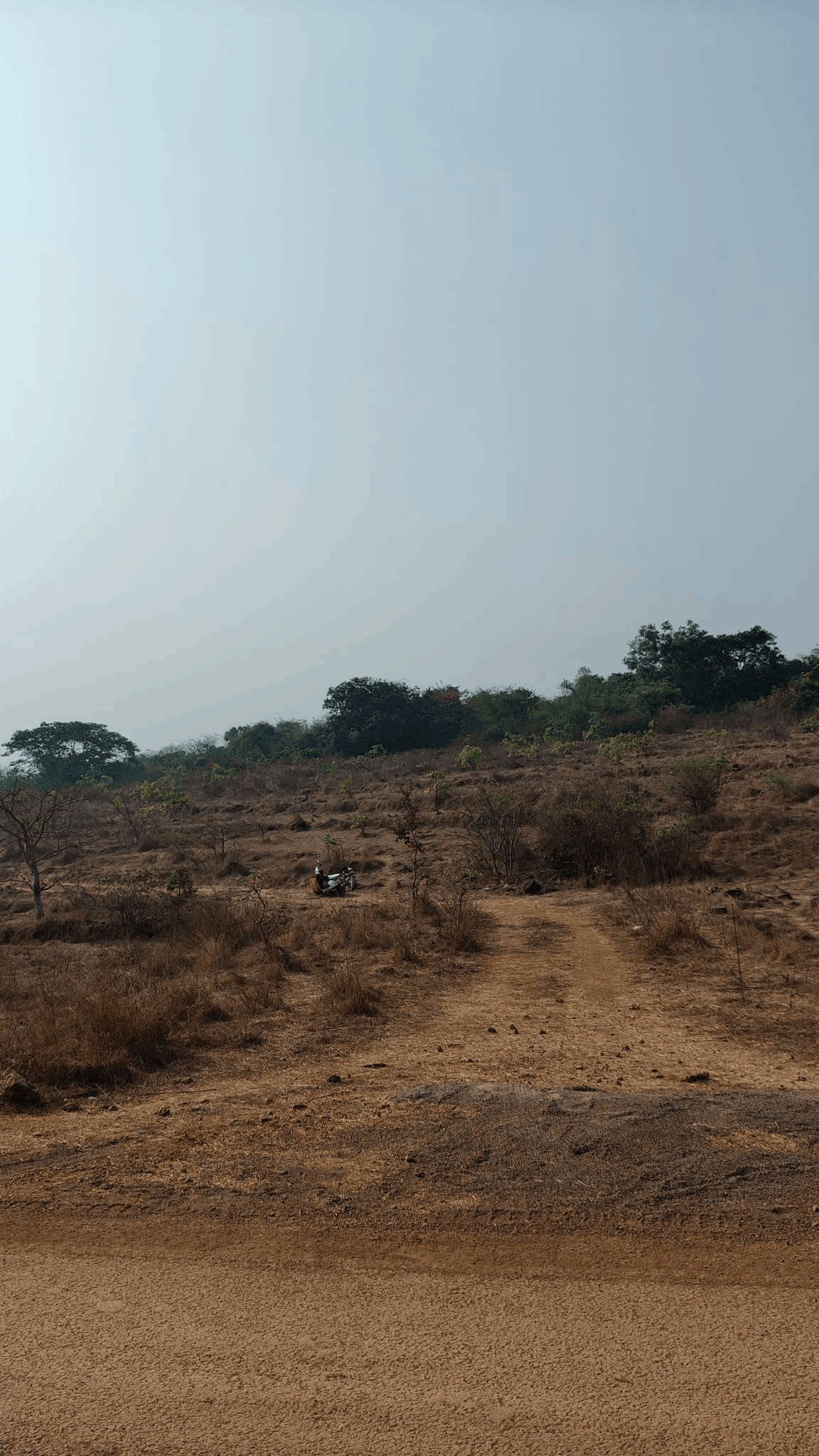 515-agriculture-plot-eab0df7e-8294-4e70-8b6e-1abccf6a8b3f.png