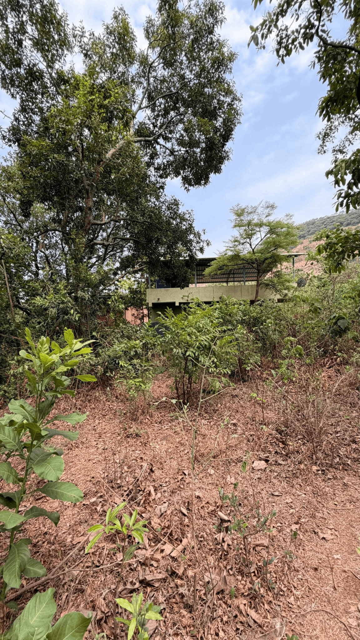 519-farmhouse-plot-1d99f6a2-9c42-44cc-8849-50184f9fdab7.png