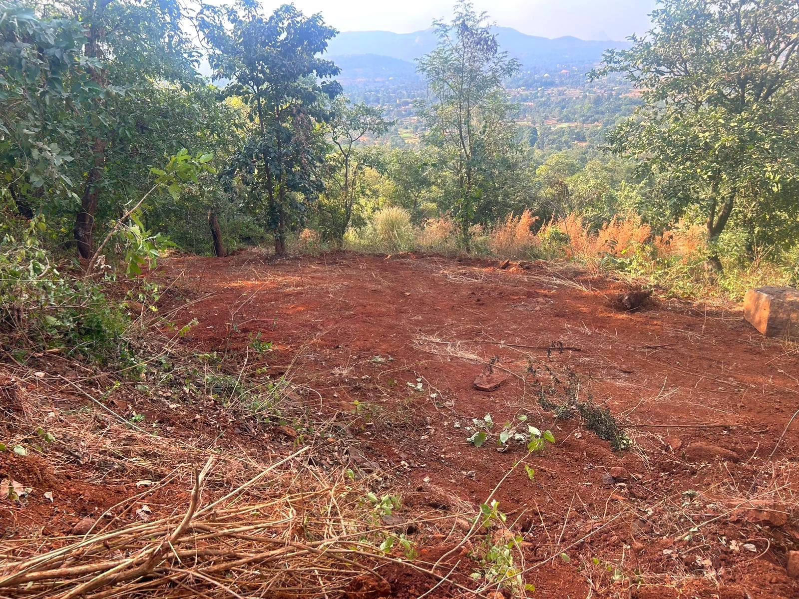 52-farmhouse-plot-1f29439e-5bd4-4a0c-a6e5-ca9486e30917.jpg