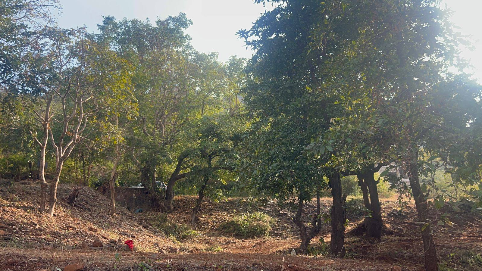 52-farmhouse-plot-6cadfa25-5971-4b78-acaf-ec000b9e2937.jpg