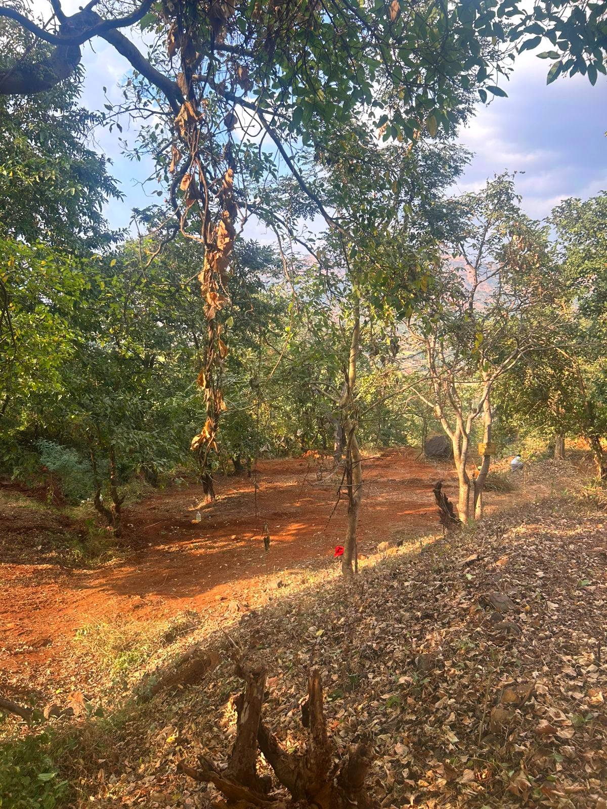 52-farmhouse-plot-9b432aeb-4438-4045-a42d-e6ee2bd10922.jpg