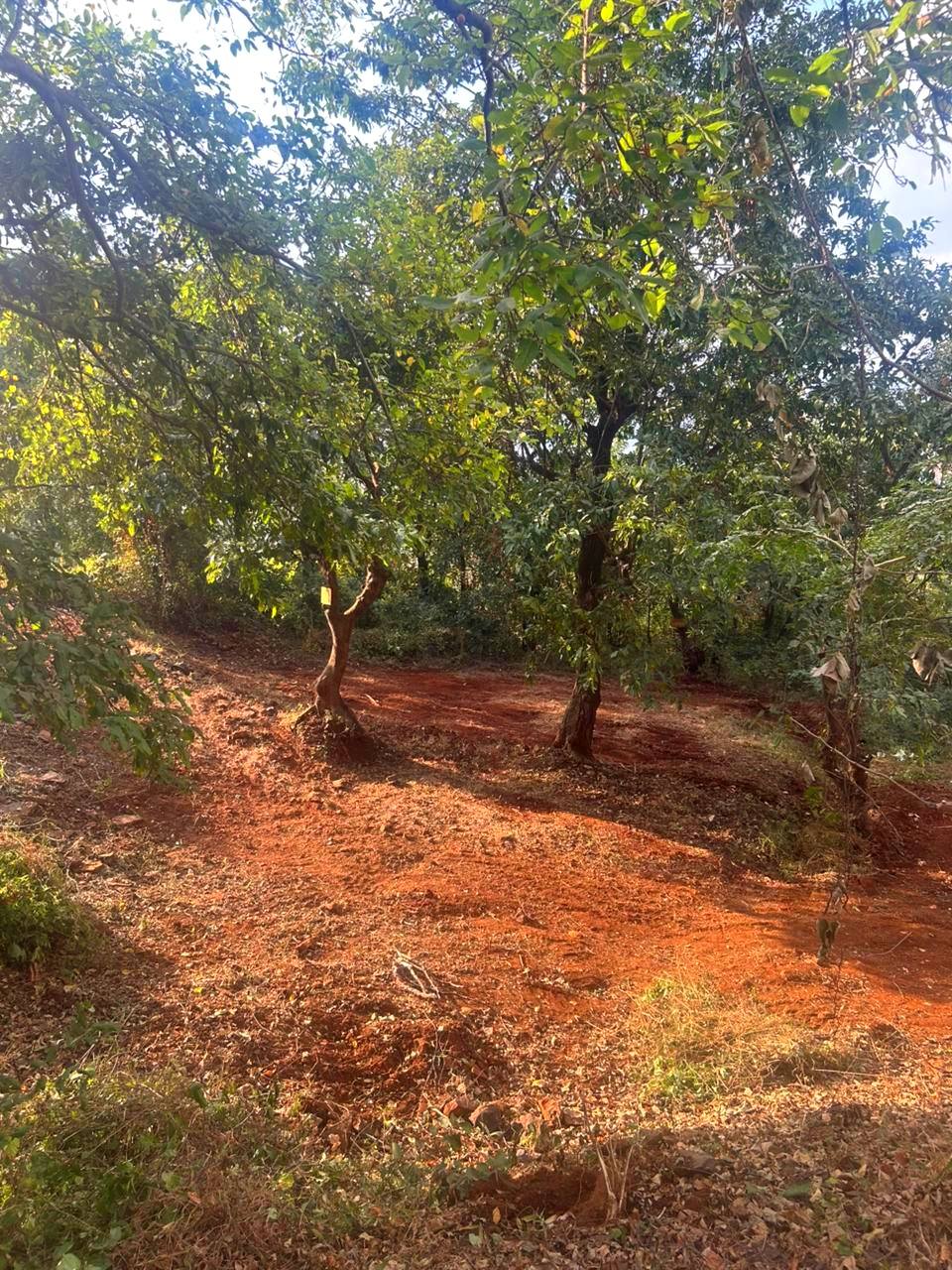 52-farmhouse-plot-e0520156-bcff-4bab-bcd7-98932a2fa67d.jpg
