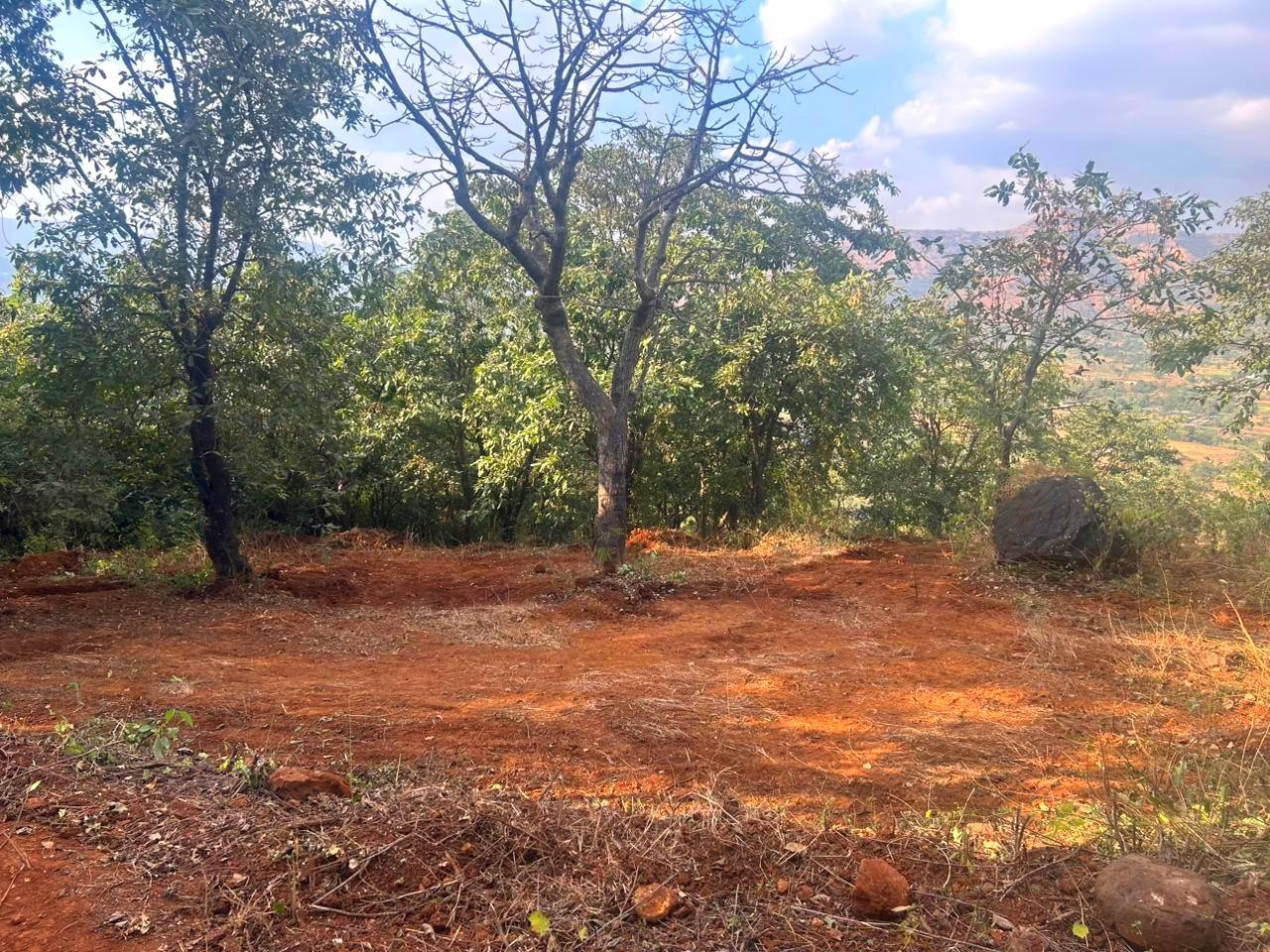 52-farmhouse-plot-e6a8cfc5-4b52-41c3-a634-608ce28eb103.jpg