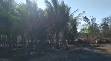 523-farmhouse-plot-fdf9baeb-8c87-4c3b-8a3b-f39ca64beb57.png
