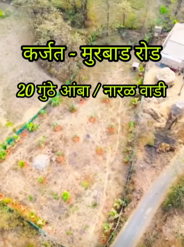524-agriculture-plot-2b92674e-dcd1-4695-980c-7d5f6e2ba05c.png