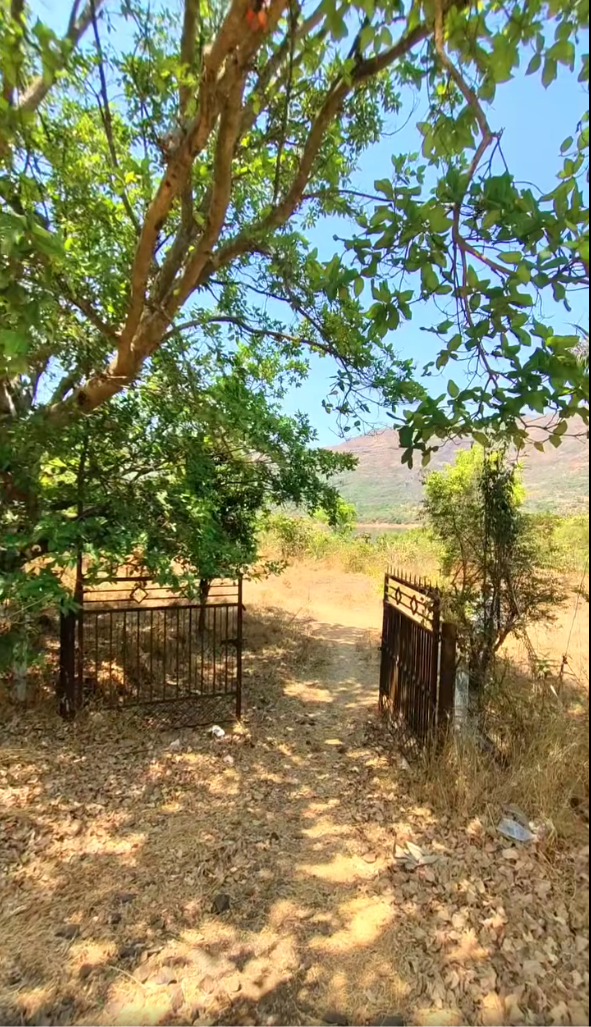 53-farmhouse-plot-9aeaa172-baac-4056-a4df-6e013f3a8d05.png
