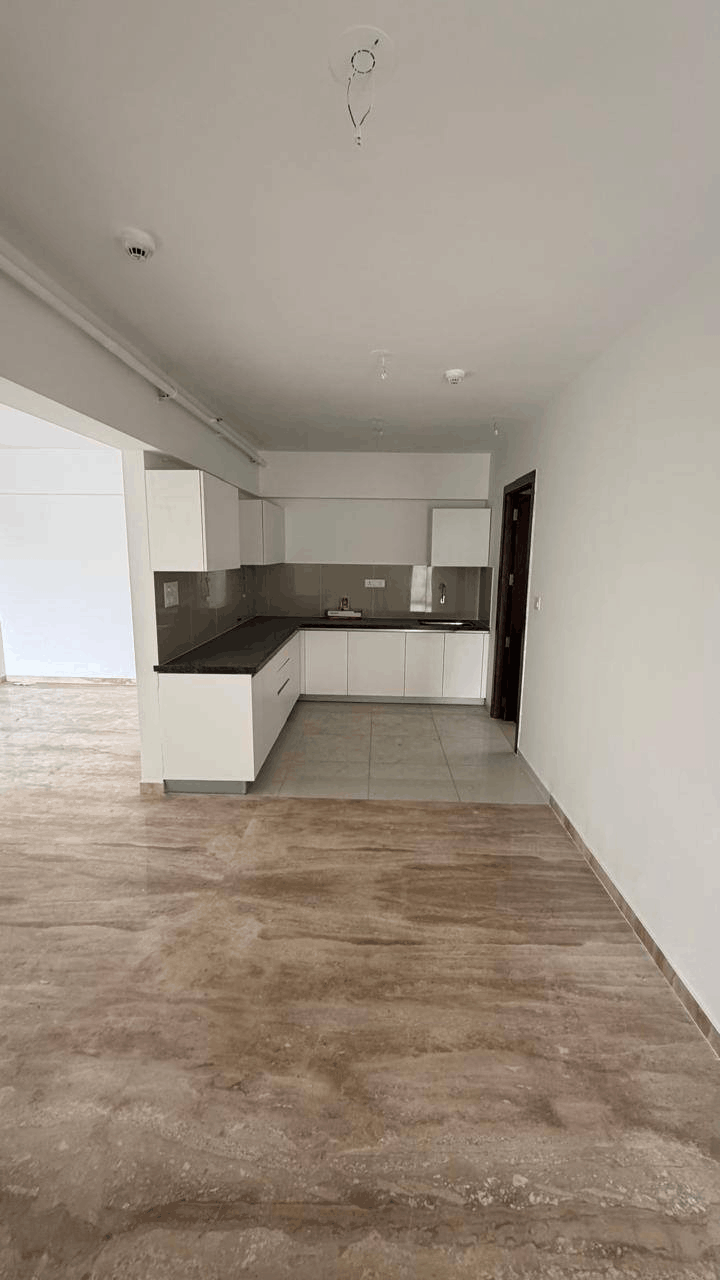 538-bungalow-e460eeac-3199-4550-b882-b52667fdb5bd.png