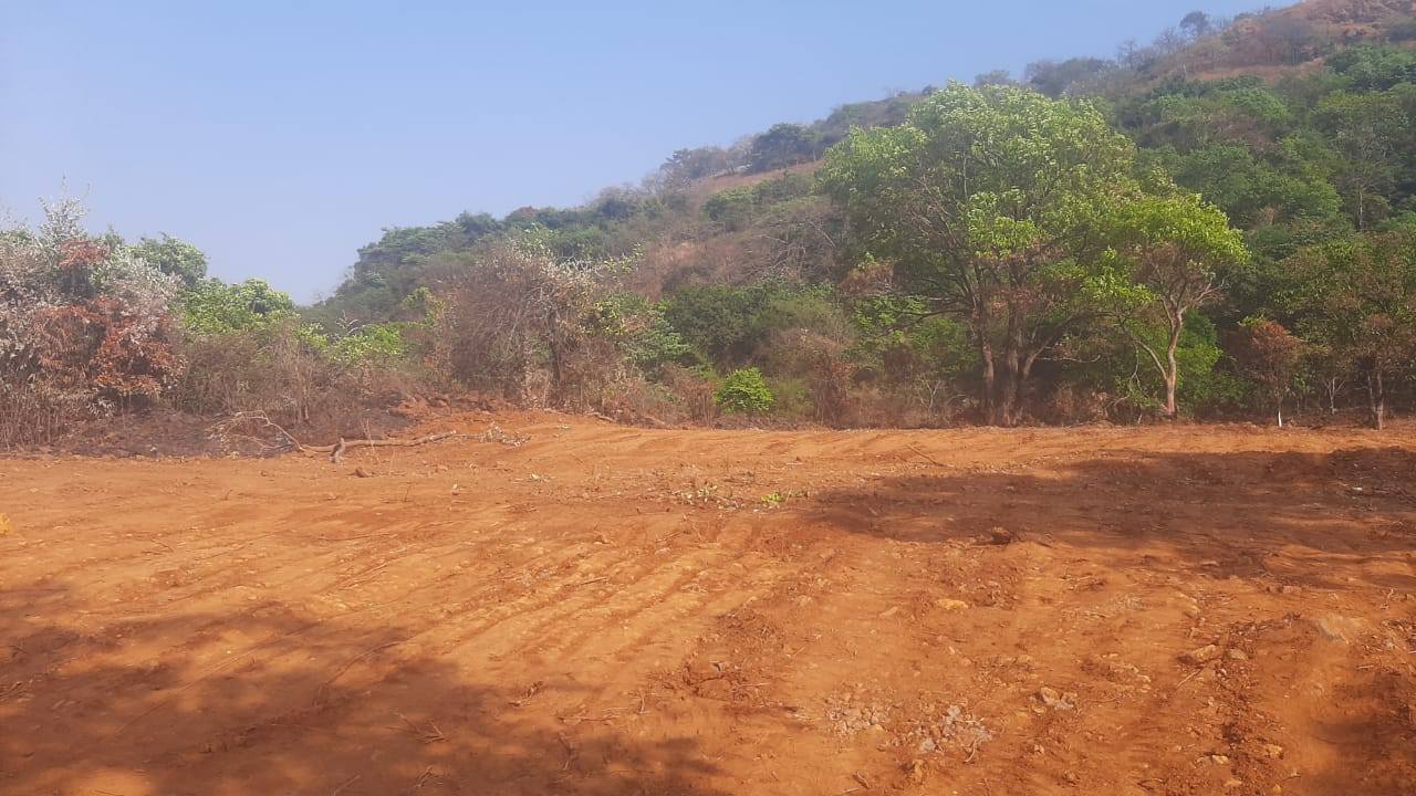 54-farmhouse-plot-3f47ff80-ea79-41c0-ac87-7b061860374d.jpg